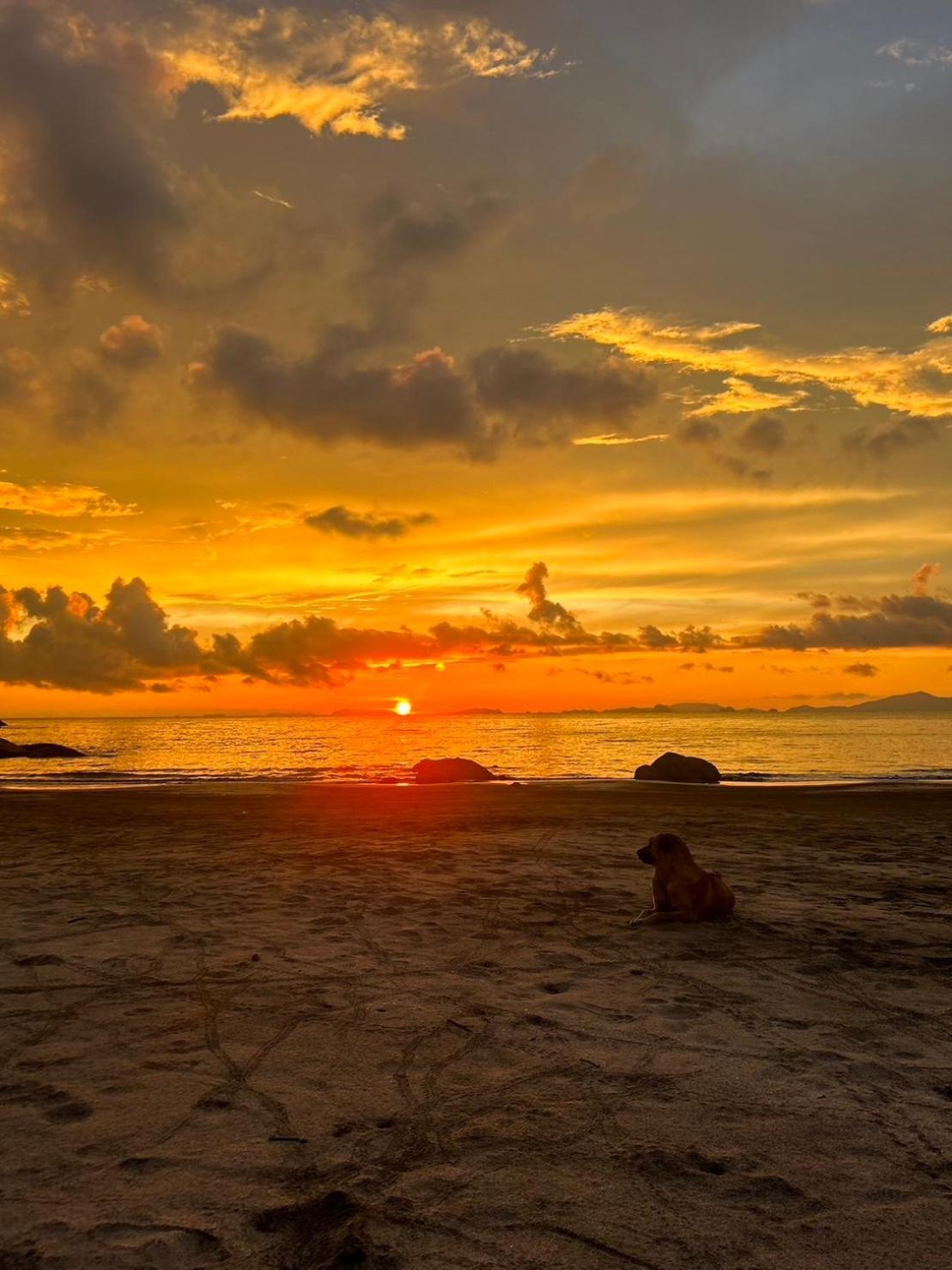 Lae Tawan Bungalow Koh Chang Ranong Eksteriør billede